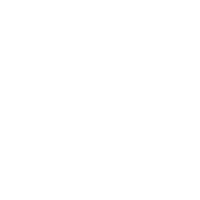 ugly-duckling
